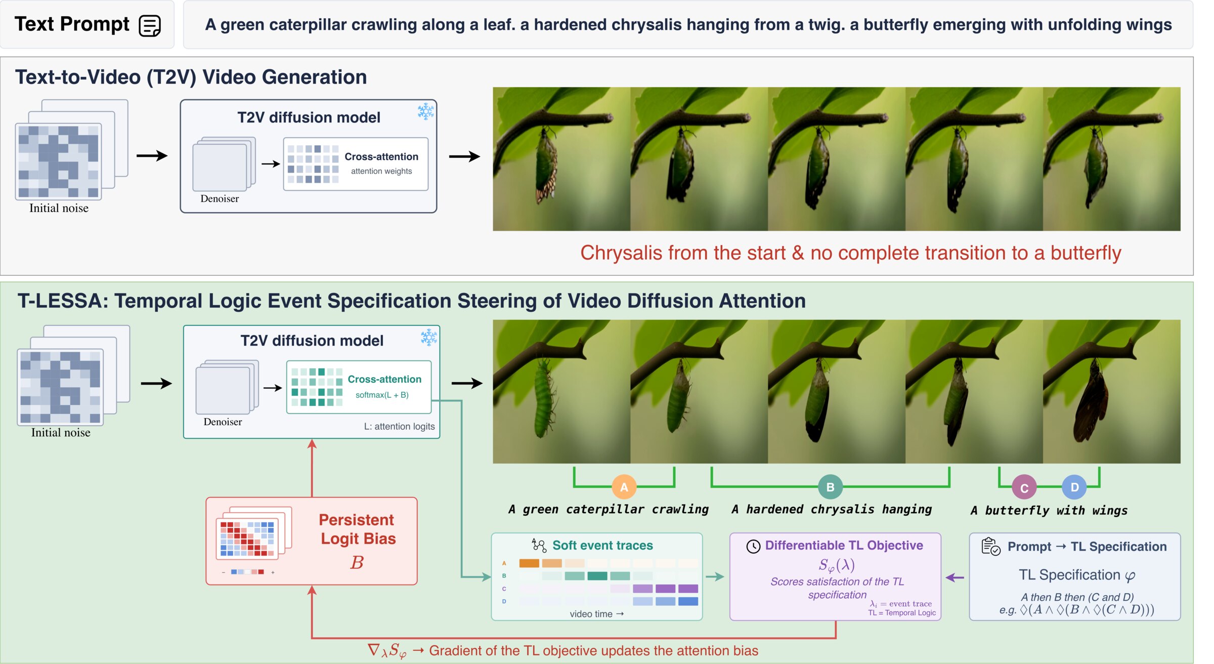 Overview of T-LESSA. Top: an unsteered text-to-video model, asked for a caterpillar, then a chrysalis, then a butterfly, starts with a chrysalis and never shows the butterfly. Bottom: T-LESSA turns the prompt into a temporal-logic specification, reads soft event traces from cross-attention, scores them with a differentiable temporal-logic objective, and feeds the gradient back as a persistent attention-logit bias; the video then shows all events in order.